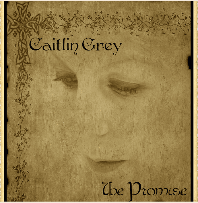 The Gypsy by Caitlin Grey 