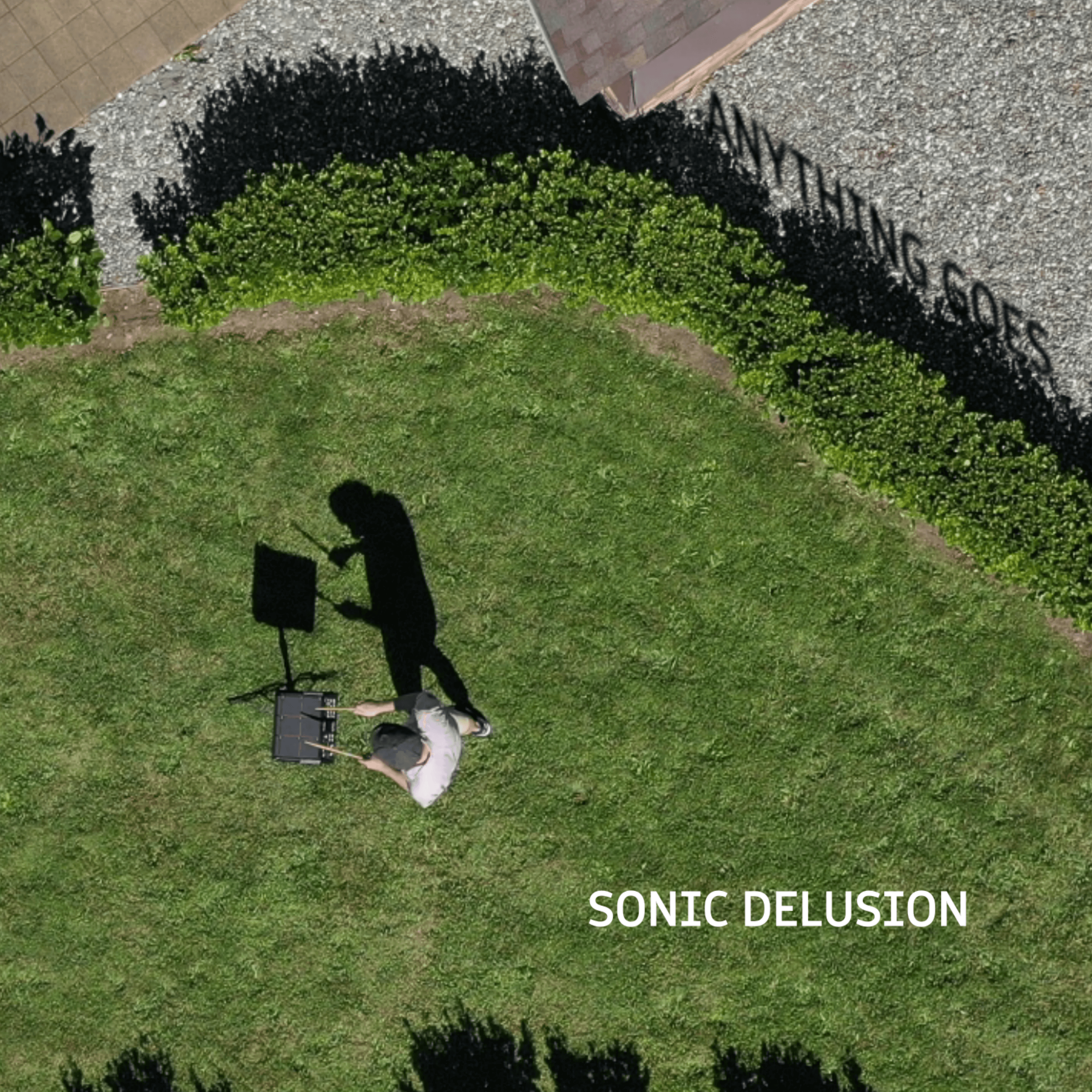 Anything Goes by Sonic Delusion