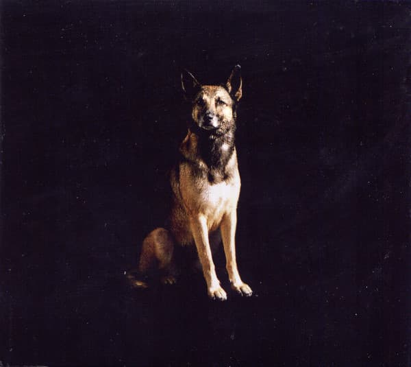 Nuit & Jour by Music is Not Fun