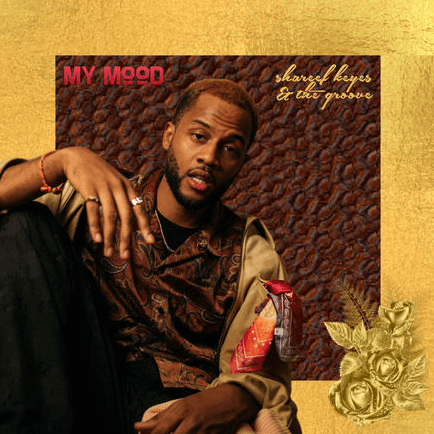 Fake Love (feat. Secily) by Shareef Keyes & The Groove